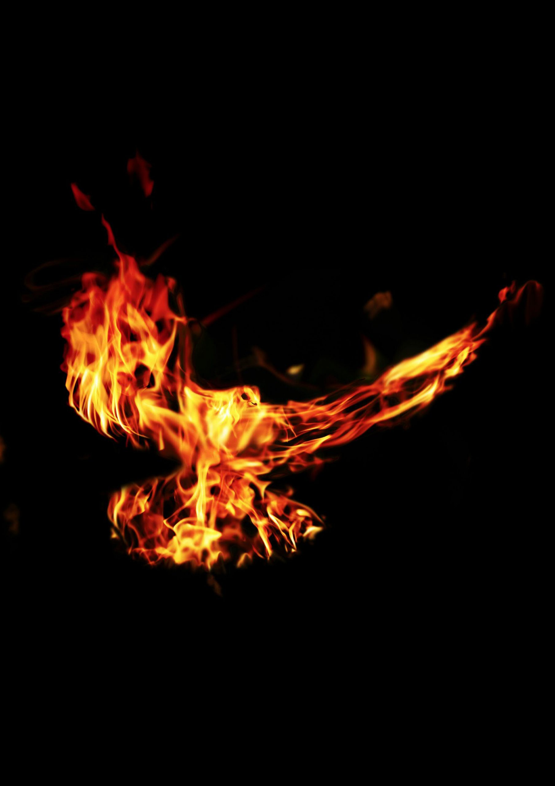 Look out – it’s the Holy Spirit!